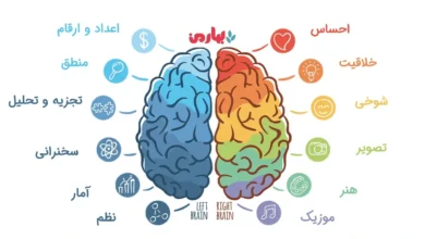 فن بیان