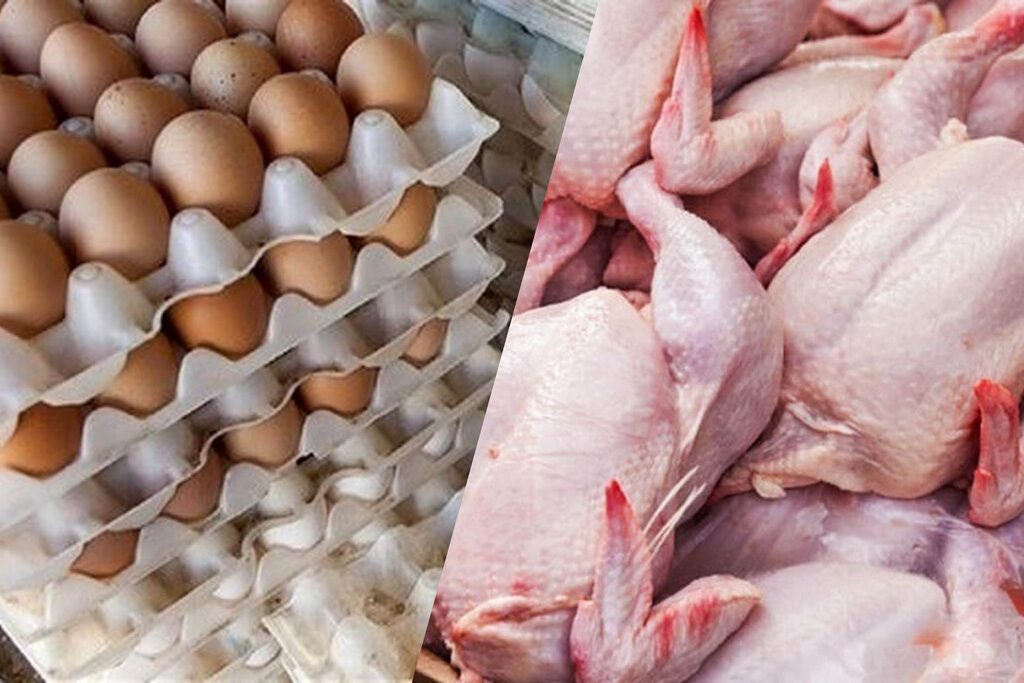 قیمت مرغ و تخم مرغ