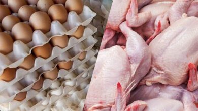 قیمت مرغ و تخم مرغ