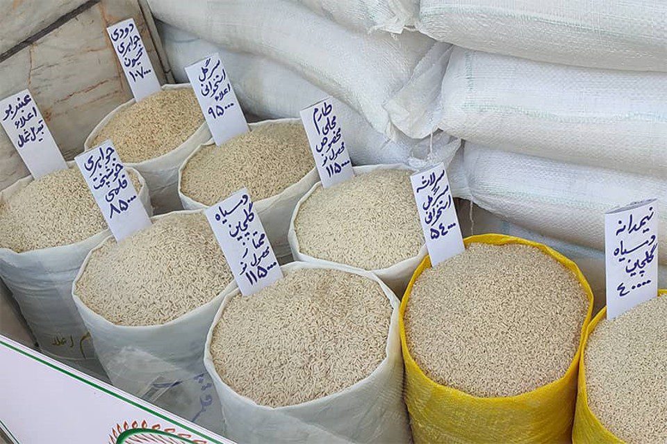 قیمت برنج ایرانی امروز + جدول قیمت کیسه ۱۰ کیلویی طارم، هاشمی، عنبربو و فجر مهر ۱۴۰۵ قیمت - قیمت برنج ایرانی امروز + جدول قیمت کیسه ۱۰ کیلویی طارم، هاشمی، عنبربو و فجر مهر ۱۴۰۵