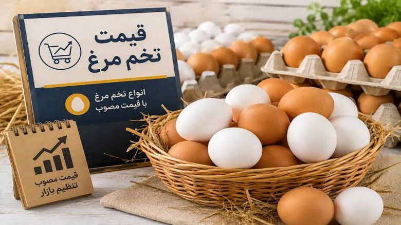 قیمت تخم مرغ امروز