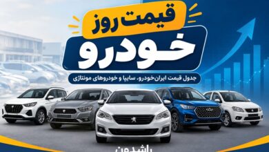 قیمت خودرو امروز شنبه ۱۸ مهر ۱۴۰۵؛ پژو ۲۰۷، دنا پلاس، کوییک و شاهین چند شدند؟ قیمت روز خودرو
