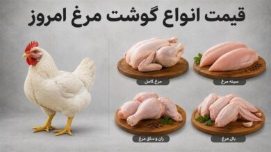 قیمت مرغ امروز
